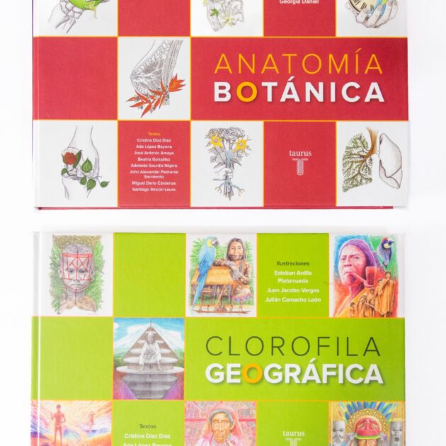 Anatomía Botánica